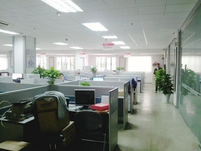 广东煲汤用中华草龟养殖厂